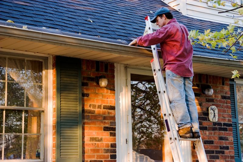 Gutter Cover Professionals at Work